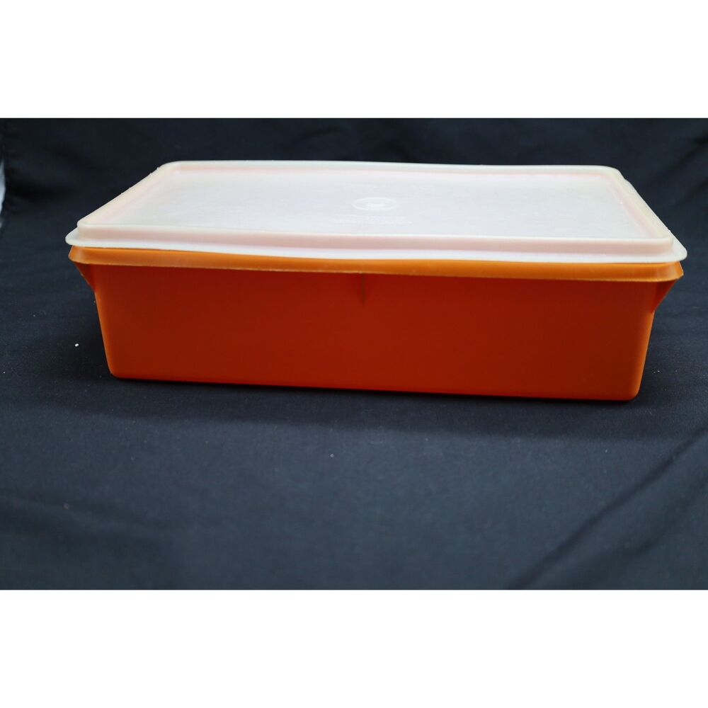 Tupperware Meat marinating Container-Season Serve